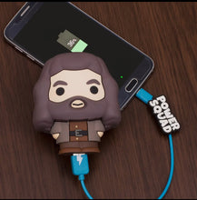 Charger l'image dans la galerie, Batterie Externe Hagrid
